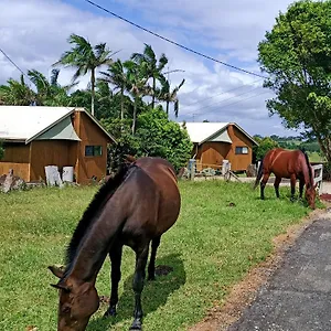 Farm Byron Bay