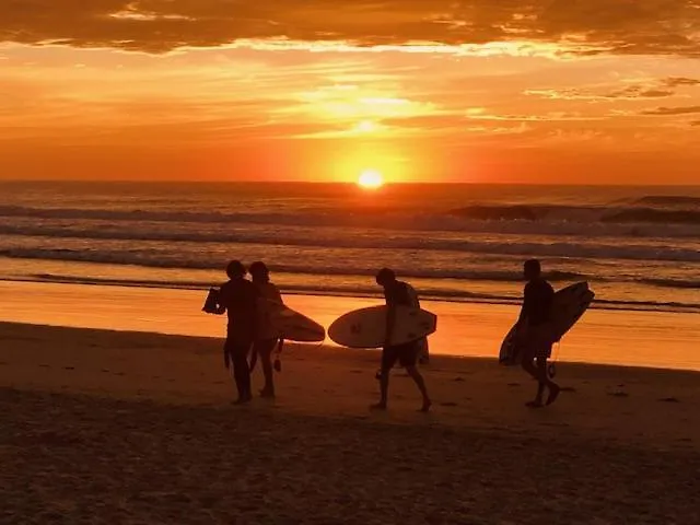 Tallow Beach Motel (Adults Only) Byron Bay 3*,